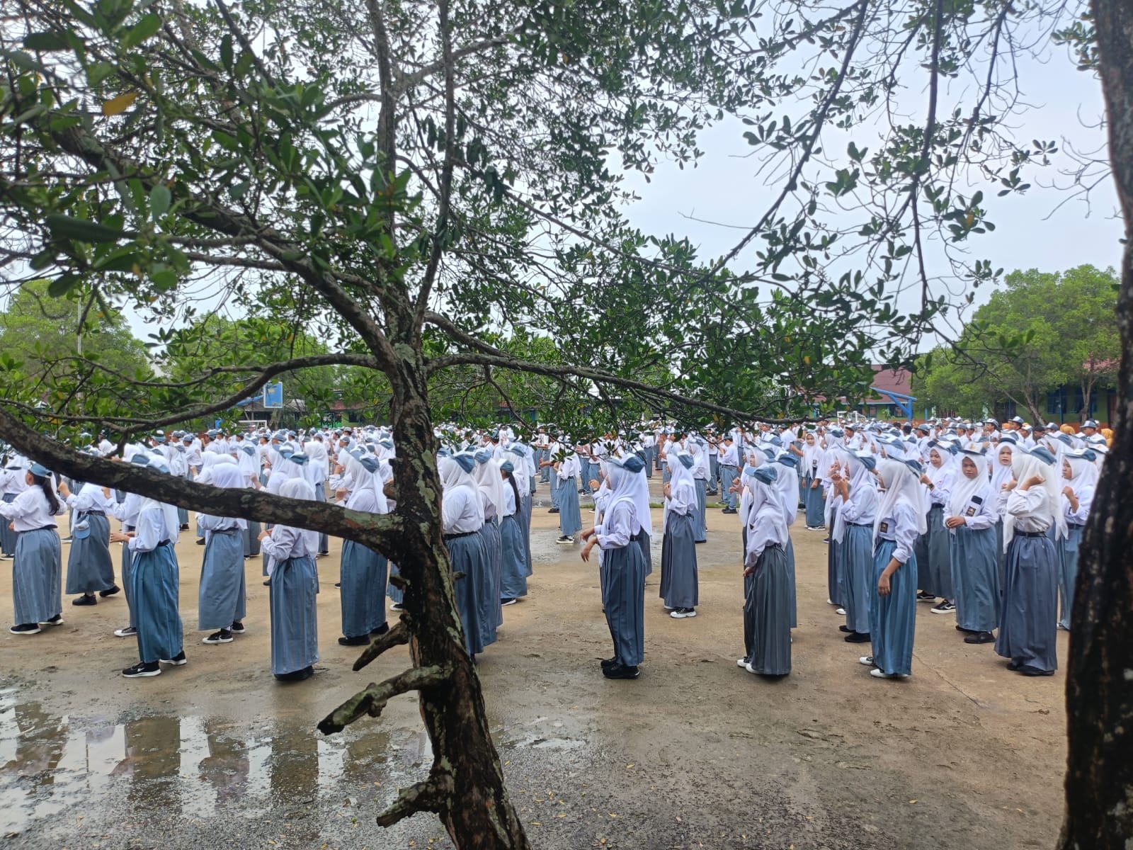 Berani nyatakan tidak ada sampah [BERANTAS]